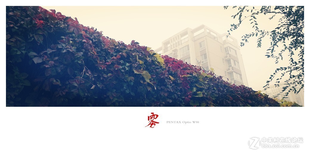 #版主坐堂# 小五星空(中国)2017年十月精品荟萃