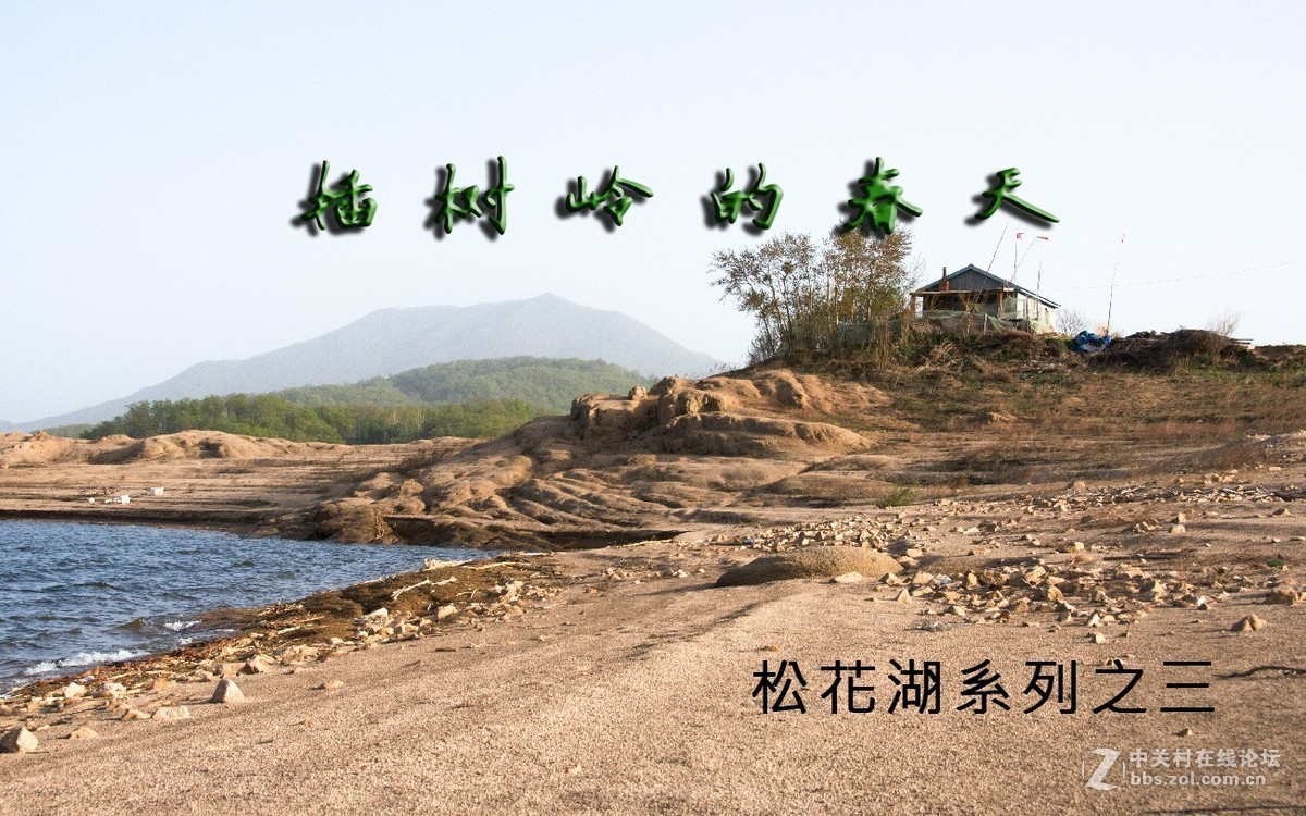 插树岭之春