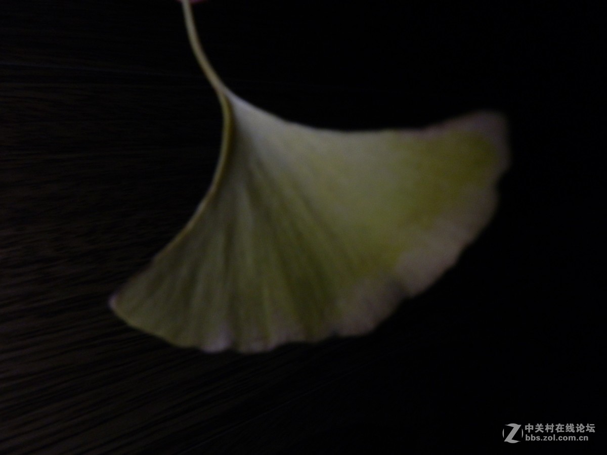 刚学习拍摄全黑背景照片，扫光练了几次，效果不尽如人意。