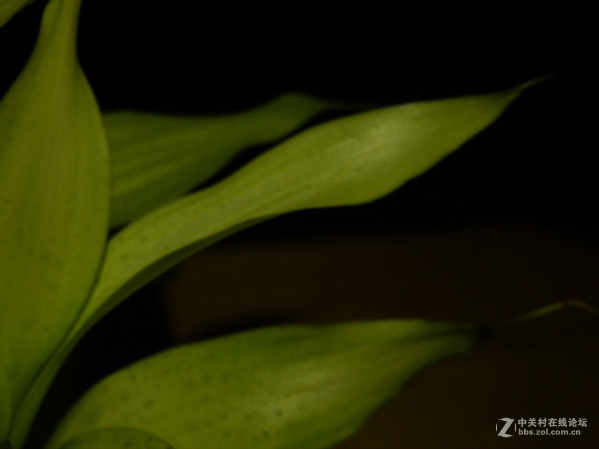 刚学习拍摄全黑背景照片，扫光练了几次，效果不尽如人意。