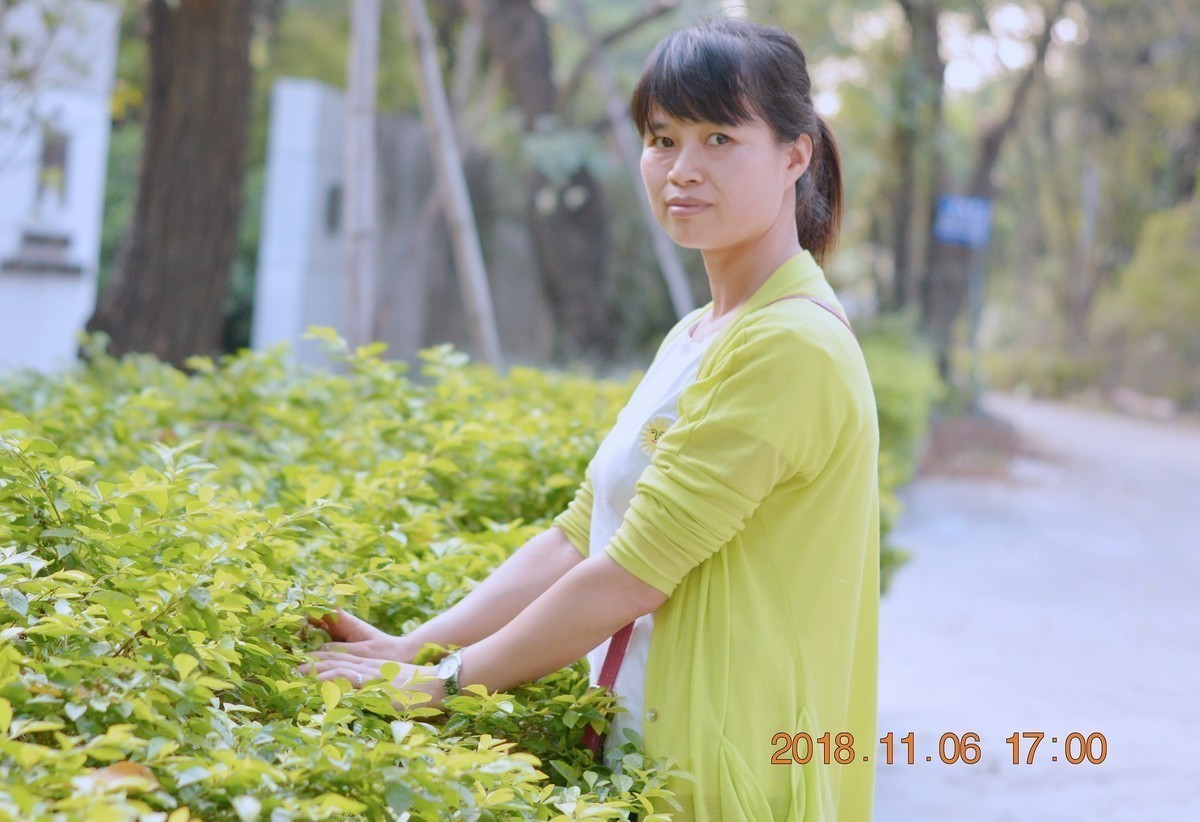 想学却没钱，只能入门机，没有长文明用语短炮，没有专业模特，不会PS，寒酸！！！