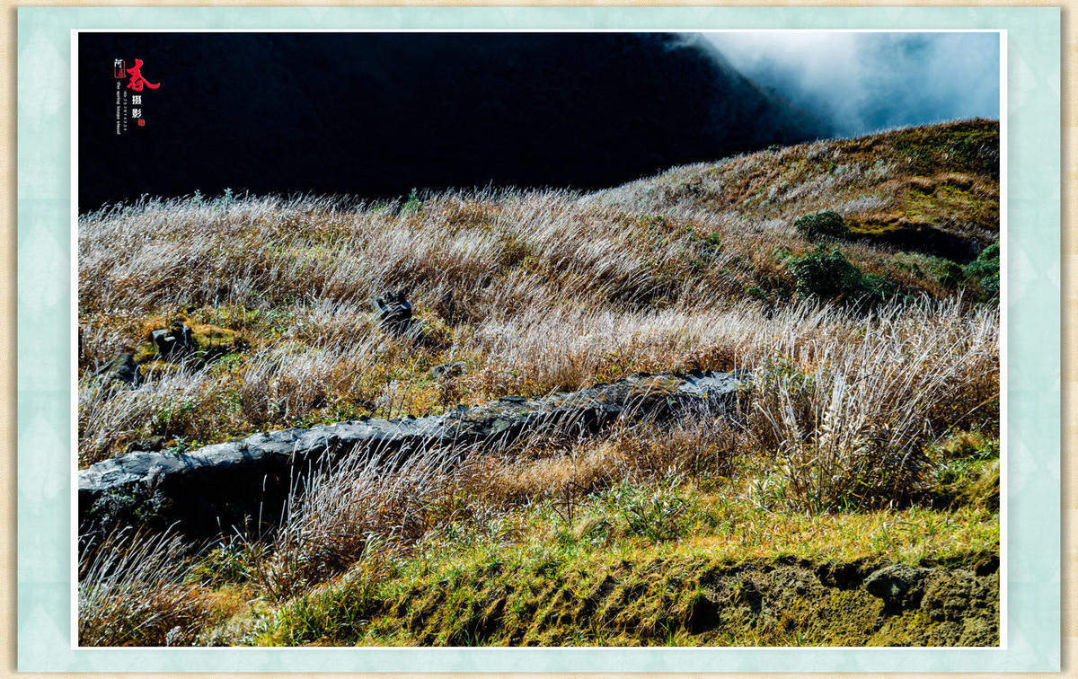 高山上的朝阳云海蓝天冰冻雾草