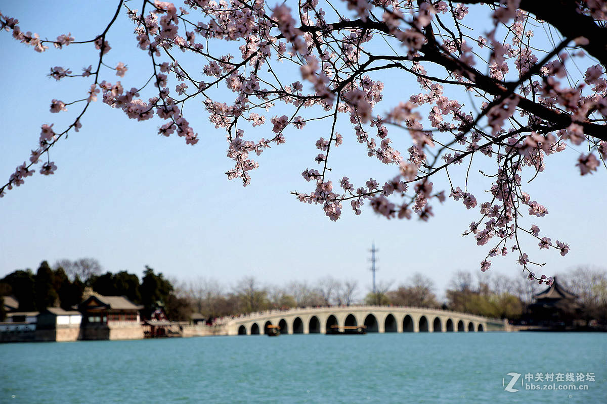 颐和园西堤春光