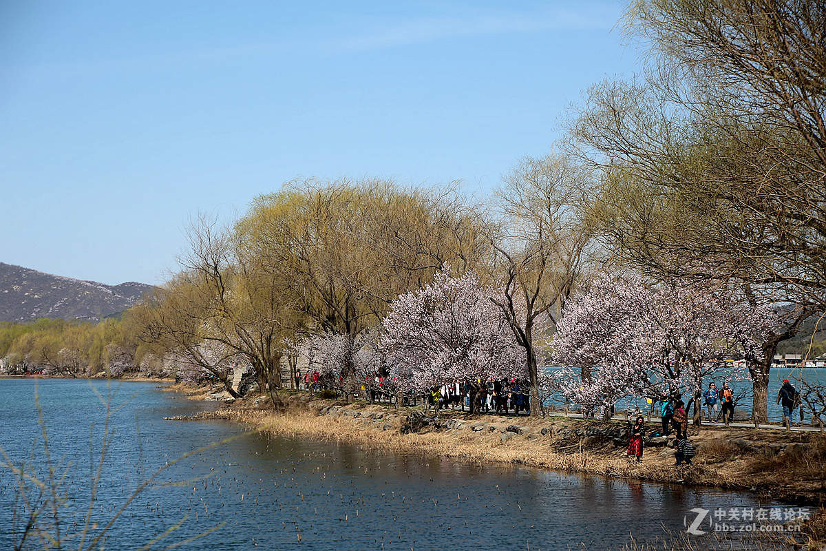 颐和园西堤春光