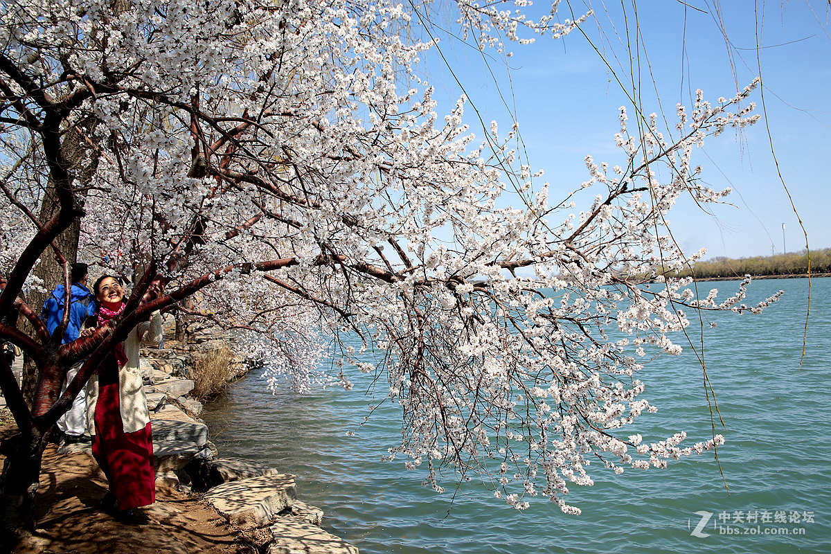 颐和园西堤春光