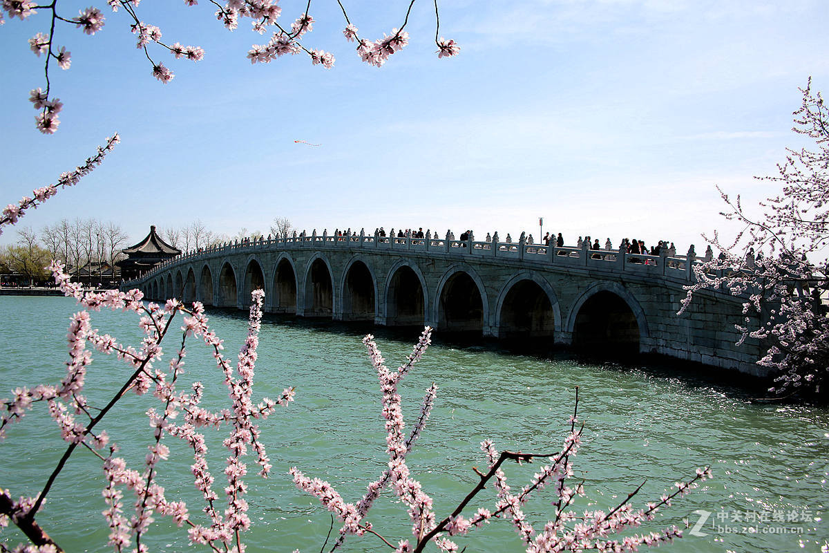 颐和园西堤春光