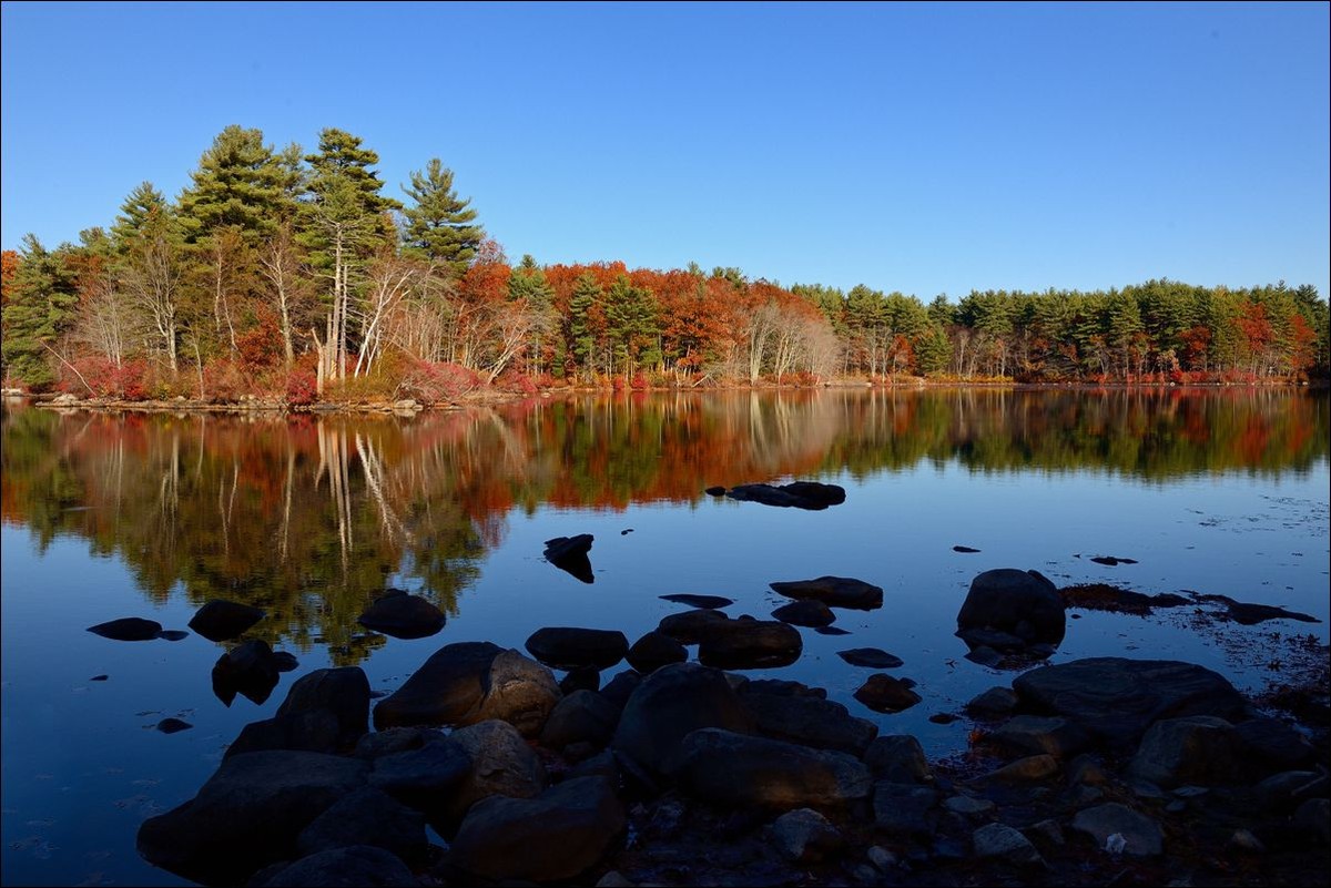 休闲随拍（262）