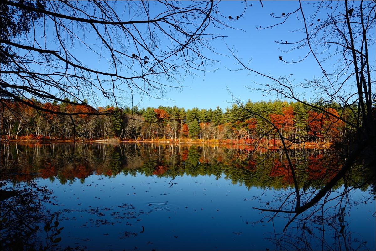 休闲随拍（262）