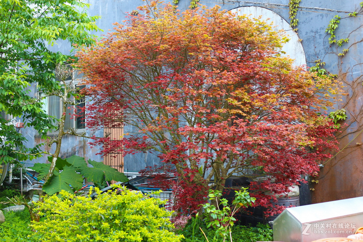 《中国宝岛美丽台湾》之行掠影—打狗英国领事馆