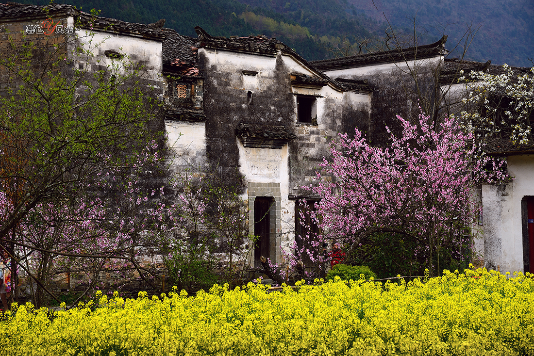 婺源的老宅！