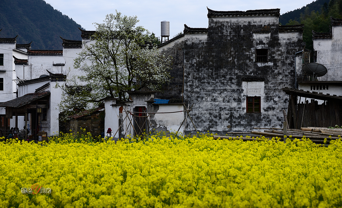婺源的老宅！
