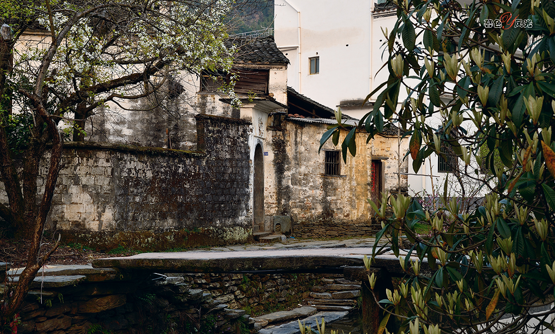 婺源的老宅！