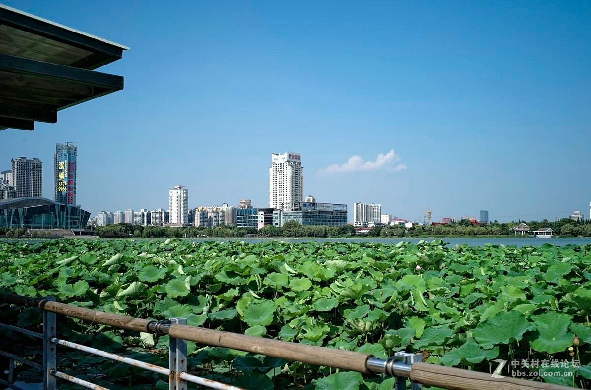 武漢月湖主題公園