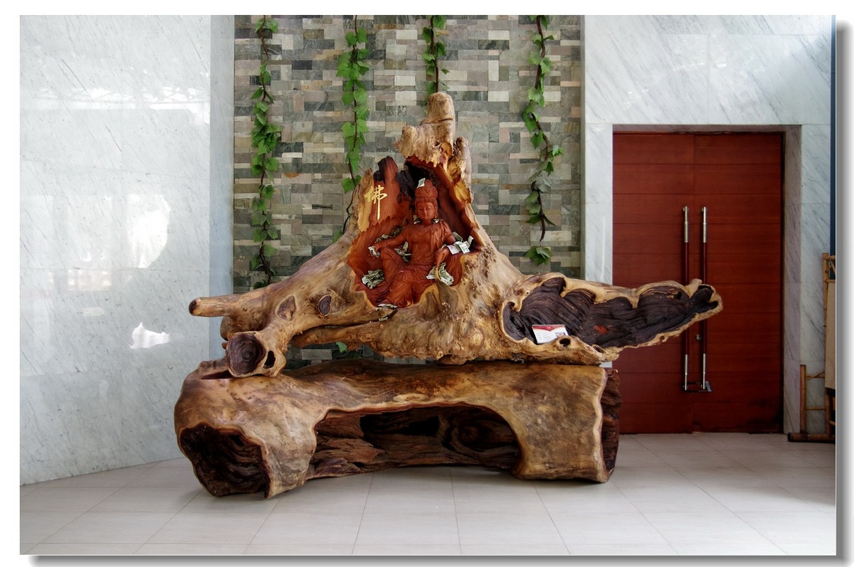 创客少年，畅想未来——CYS少年科学家比赛实况