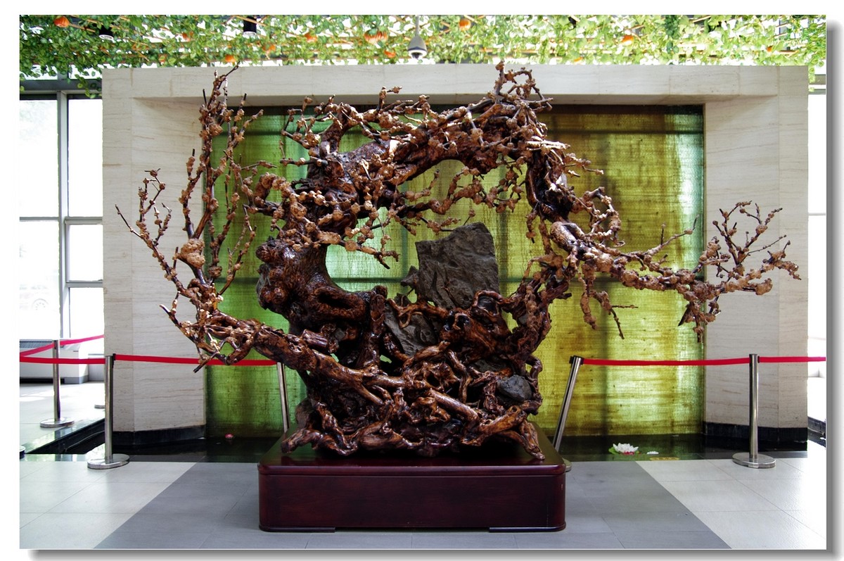 创客少年，畅想未来——CYS少年科学家比赛实况