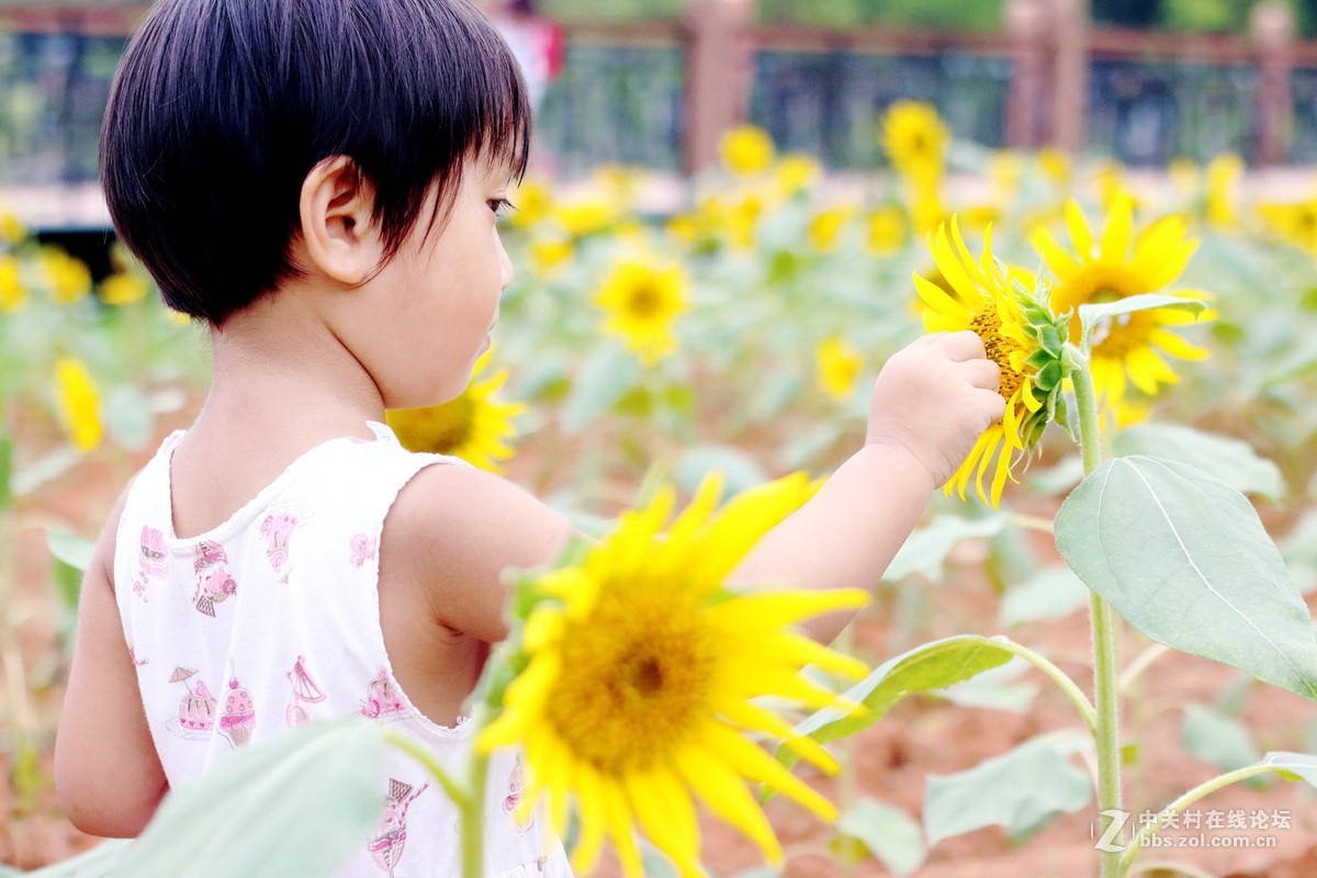 发几张自己习作，权当学习，摄影之路，且行且拍