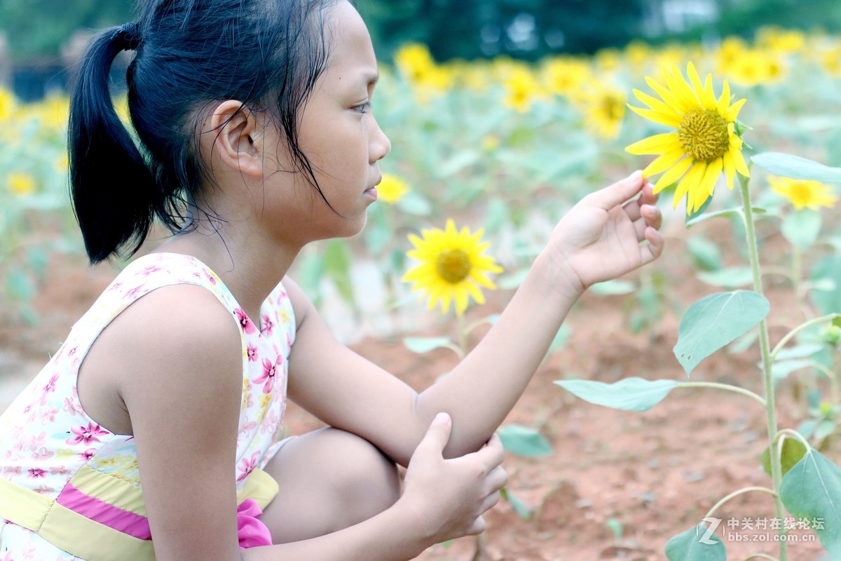 发几张自己习作，权当学习，摄影之路，且行且拍