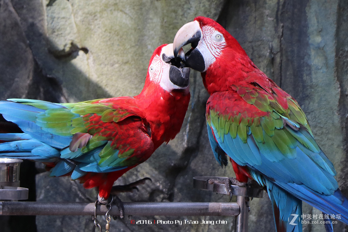 80D，18－135套机试拍！