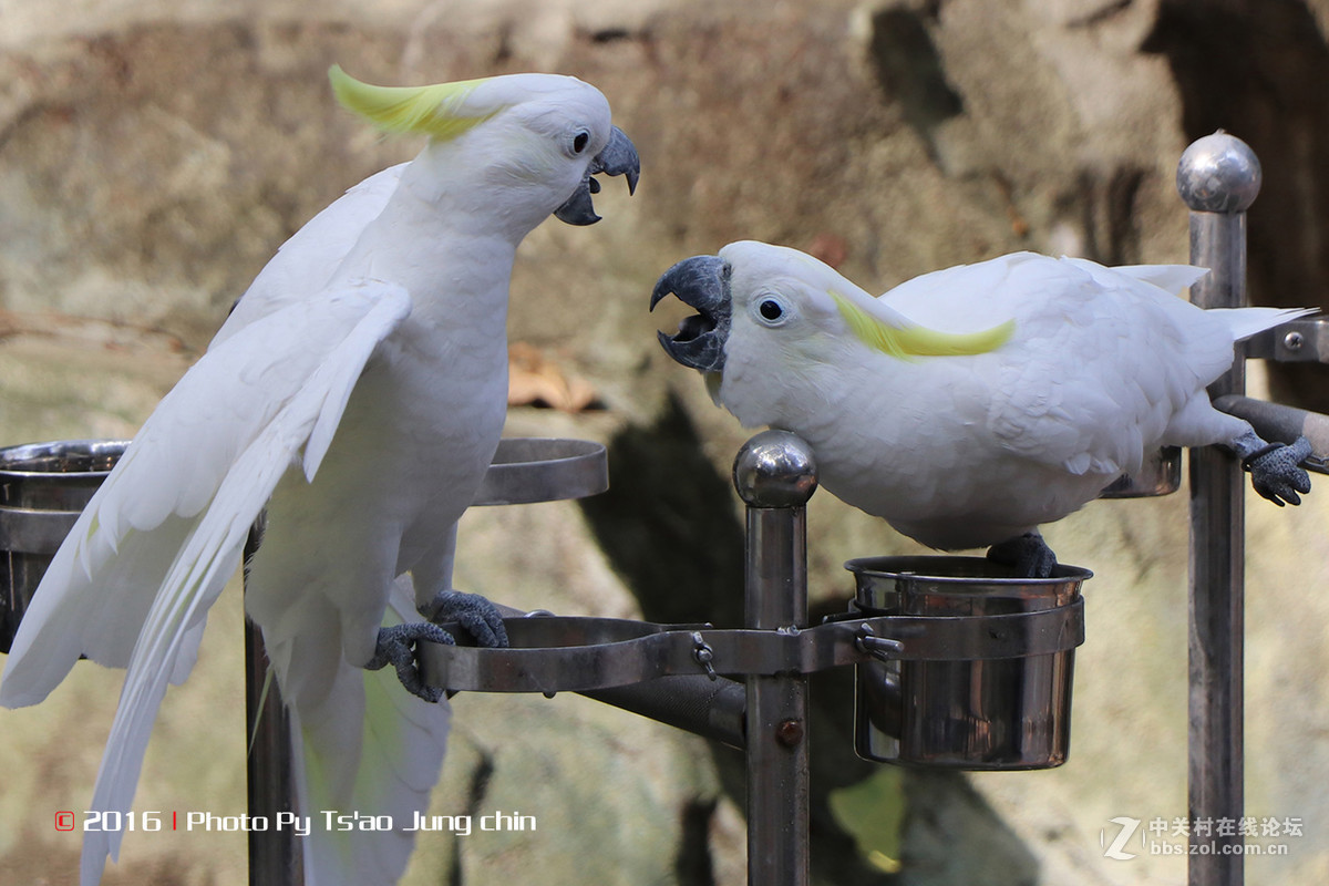 80D，18－135套机试拍！