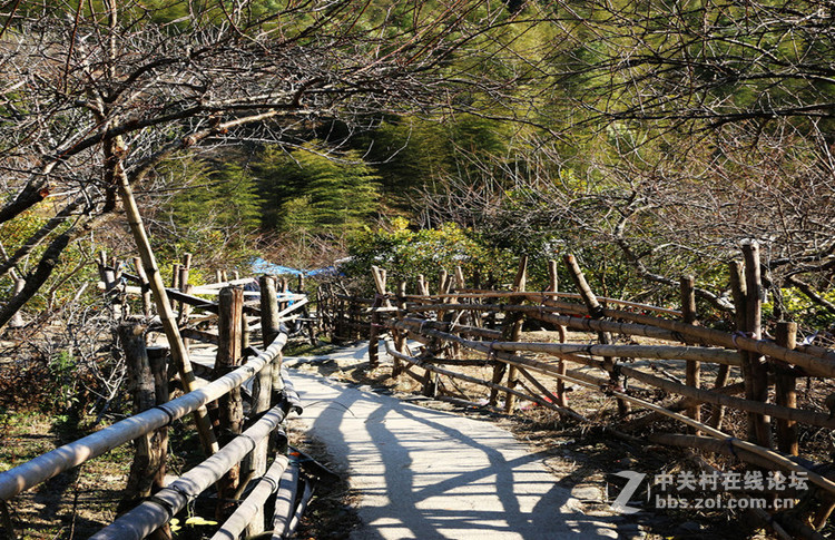 广州市从化溪头村@白云龙济摄影
