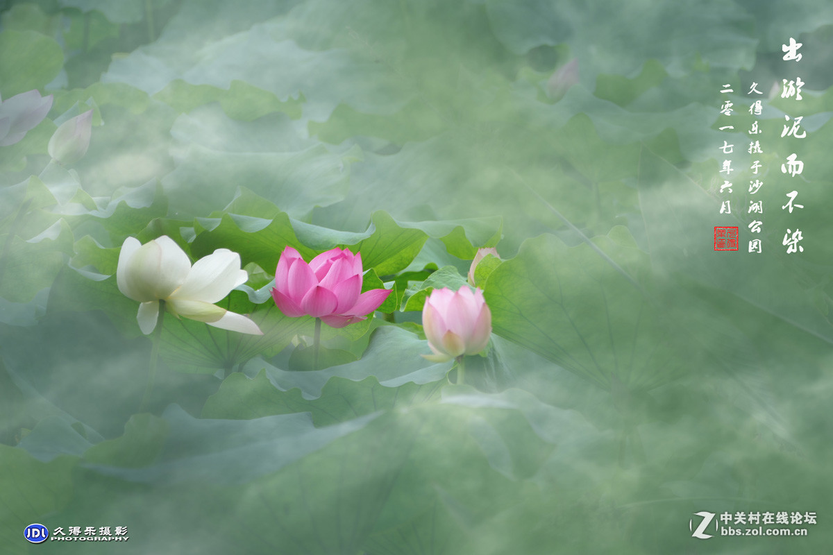 #版主坐堂#小五星空(中国)2017年6月精品荟萃