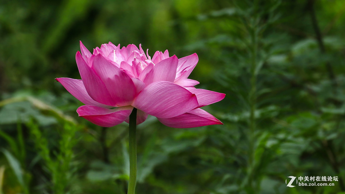 #版主坐堂#小五星空(中国)2017年6月精品荟萃