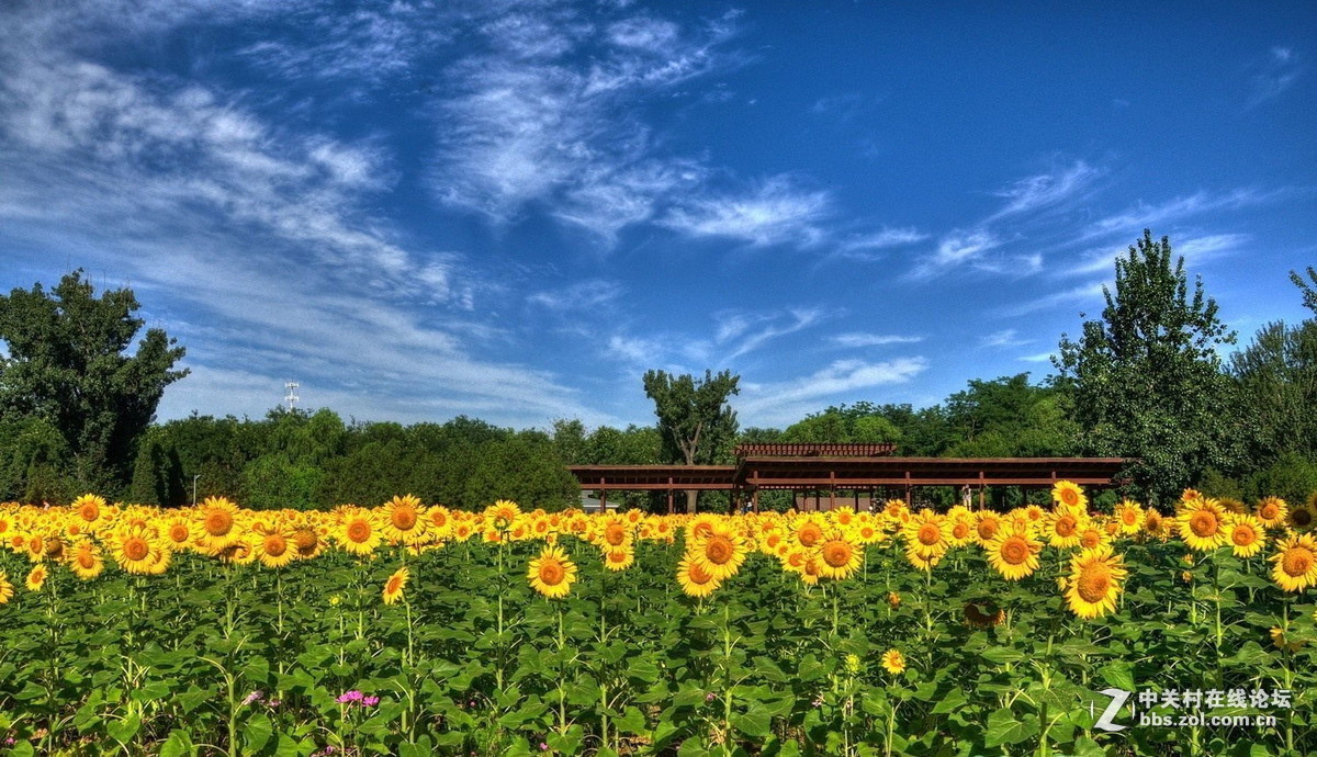 #版主坐堂#小五星空(中国)2017年6月精品荟萃