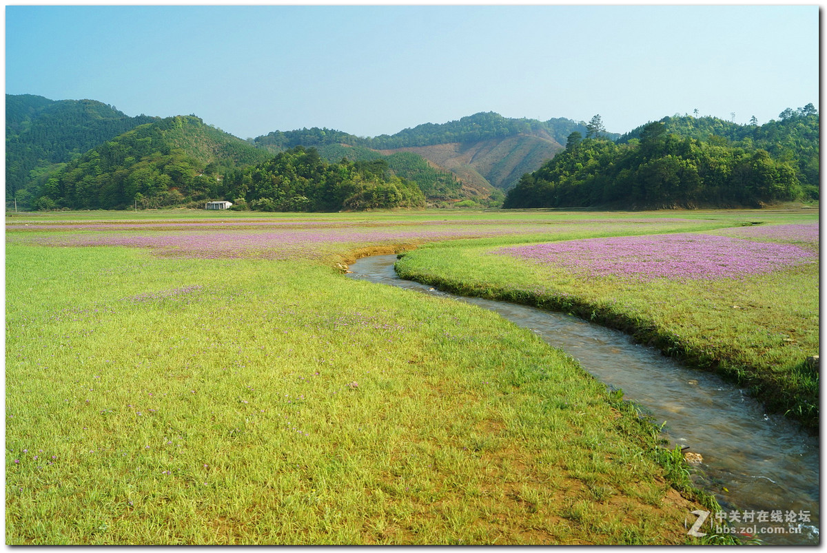 #版主坐堂#小五星空(中国)2017年6月精品荟萃