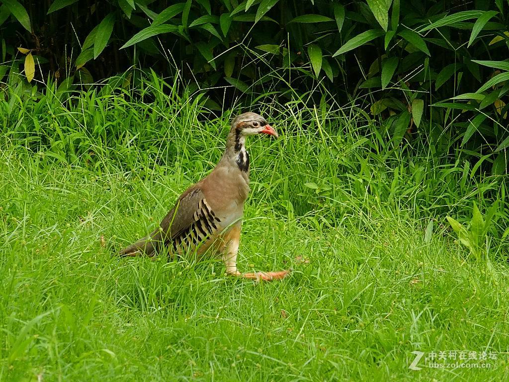 #版主坐堂#小五星空(中国)2017年6月精品荟萃