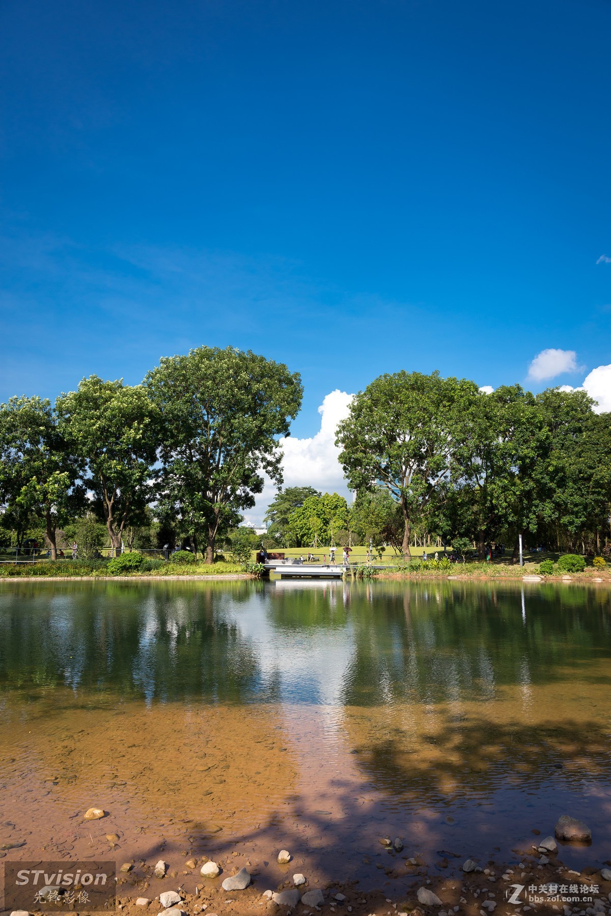 深圳最美公园--香蜜公园（D7200+16-85mm镜头）