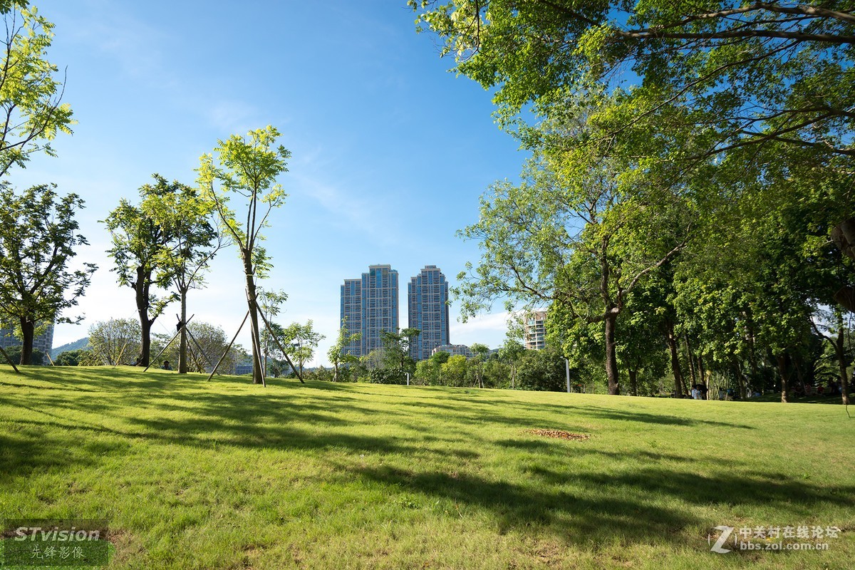 深圳最美公园--香蜜公园（D7200+16-85mm镜头）