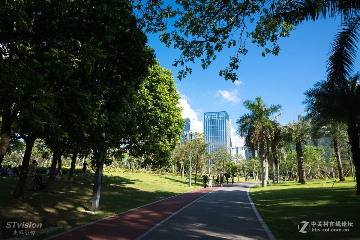 深圳最美公园--香蜜公园（D7200+16-85mm镜头）