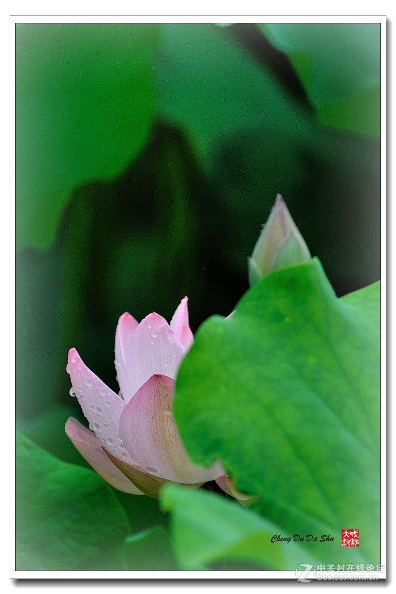 #版主坐堂# 小五星空(中国)2017年十月精品荟萃