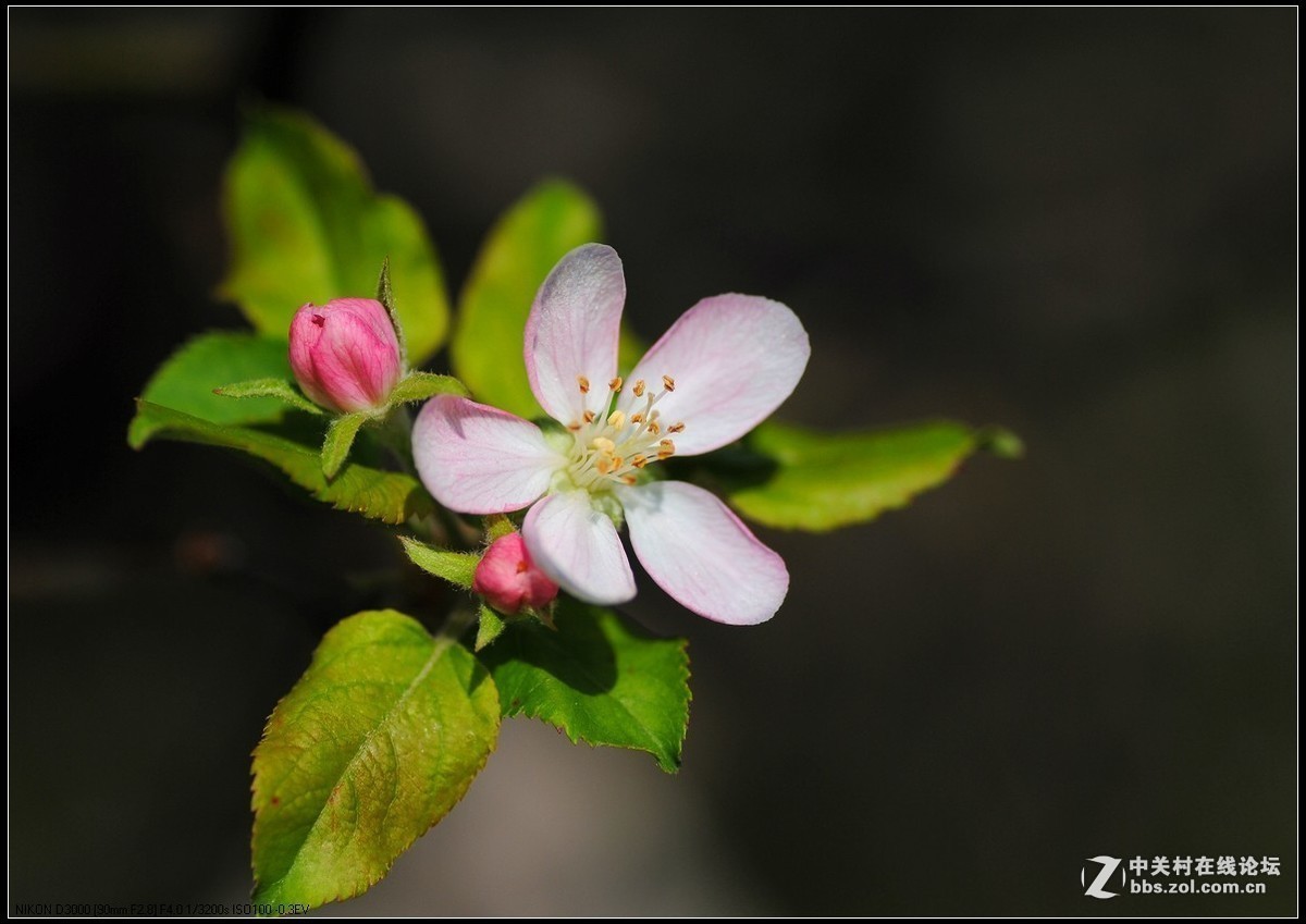 #版主坐堂# 小五星空(中国)2017年十月精品荟萃