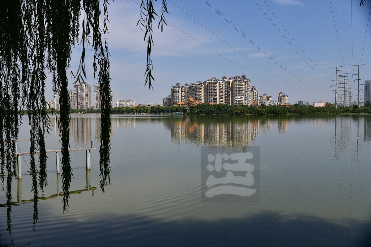 家鄉美金銀湖國家城市溼地公園散步