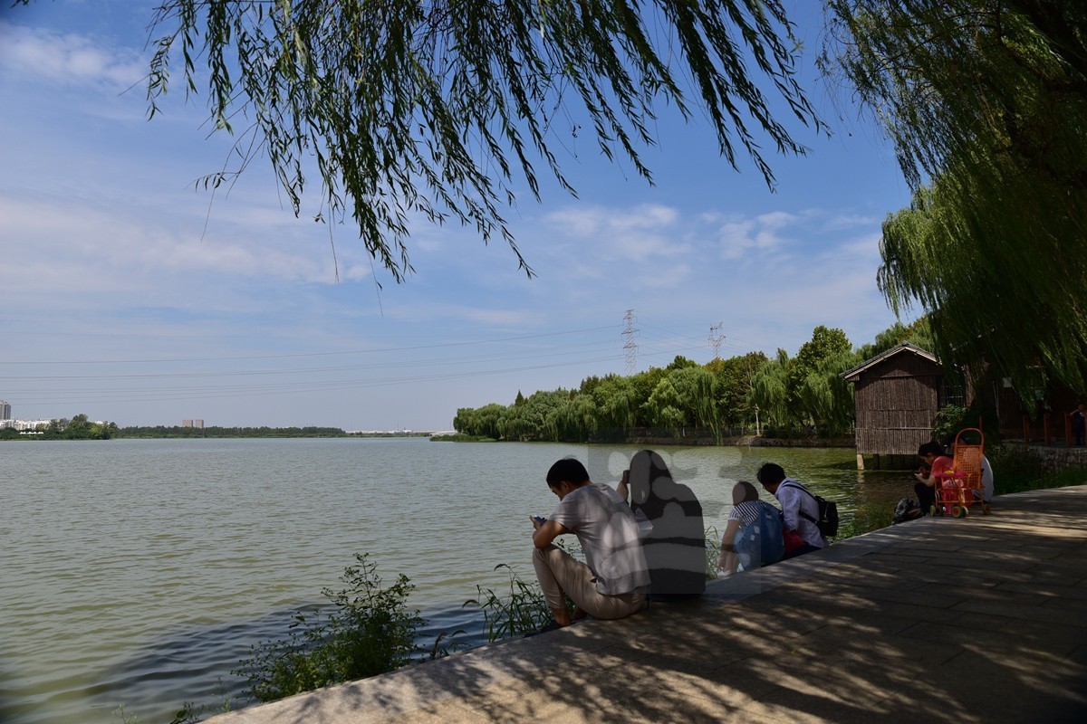 家乡美金银湖国家城市湿地公园散步
