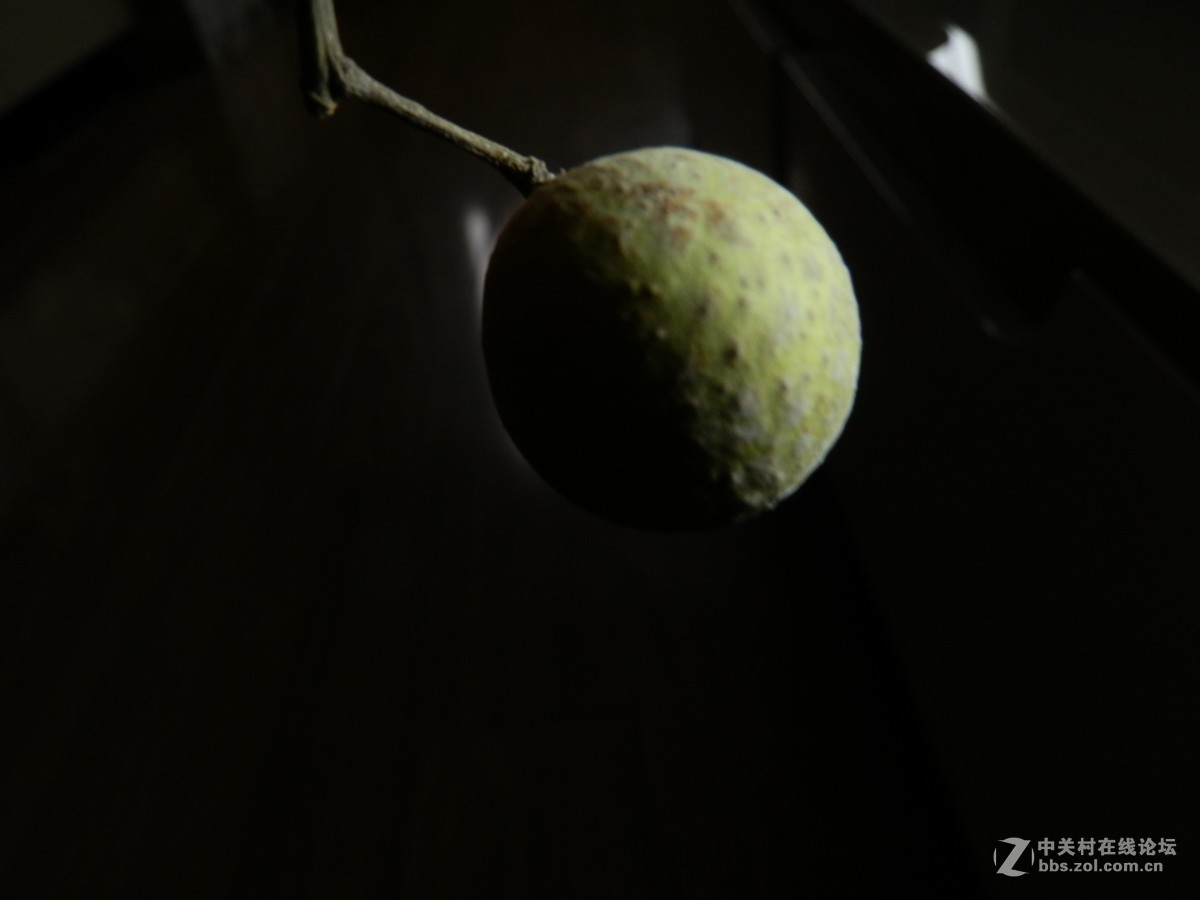 刚学习拍摄全黑背景照片，扫光练了几次，效果不尽如人意。