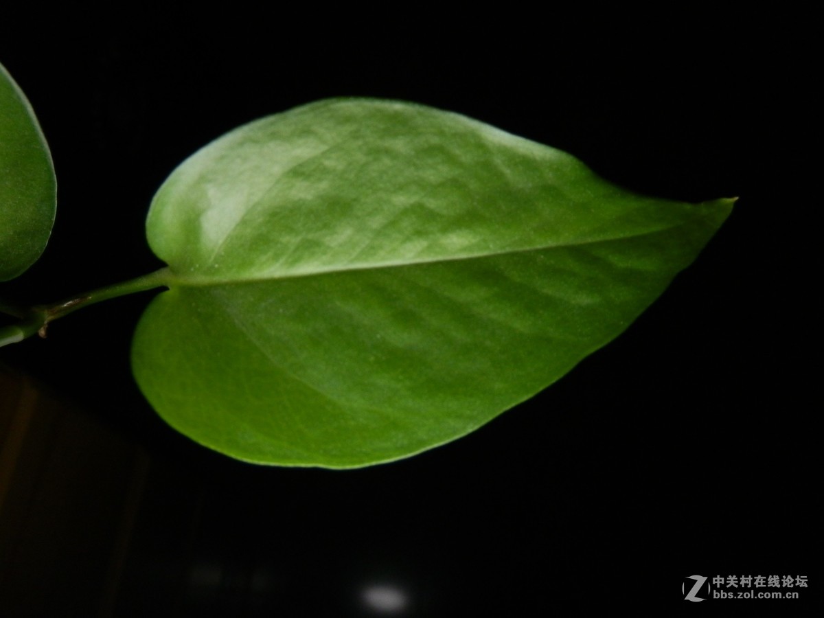 刚学习拍摄全黑背景照片，扫光练了几次，效果不尽如人意。