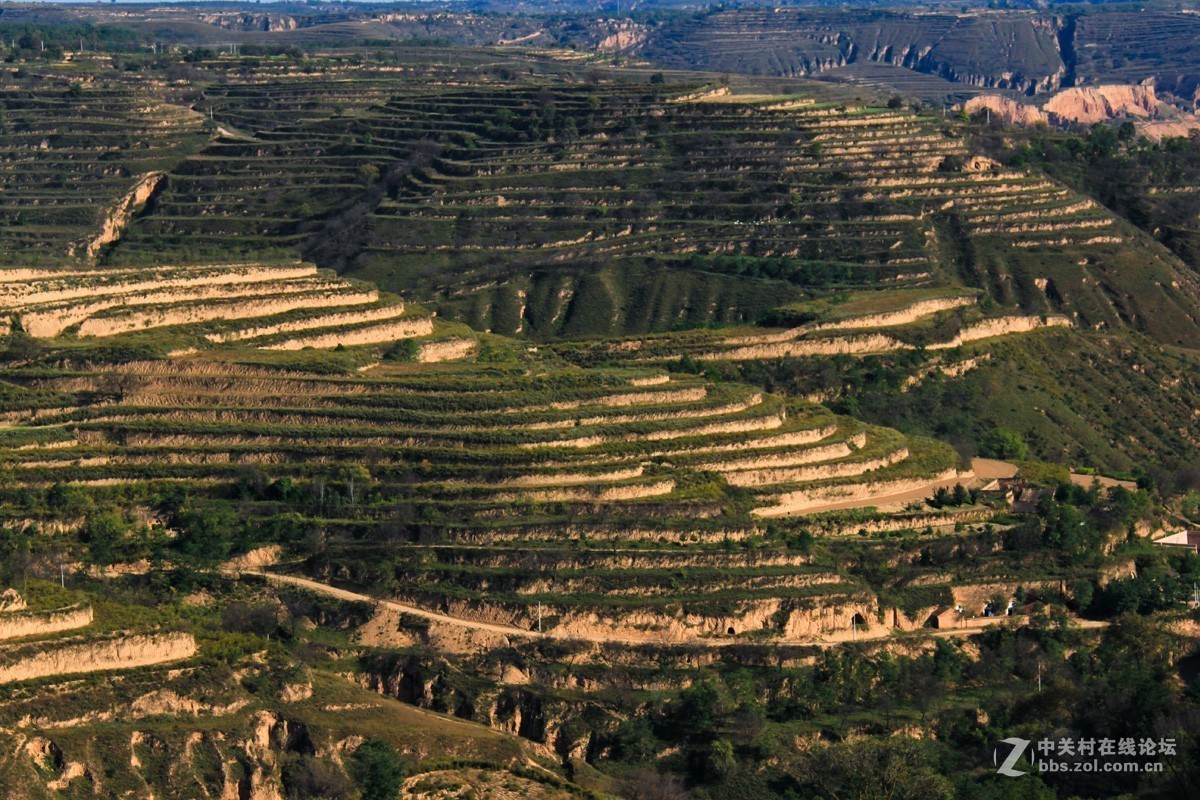 黄土塬