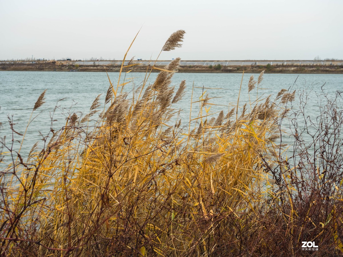 新入EM5II12-40套机，试镜拍摄，本小白还是新手请各位指正！LR胡乱后期了下！