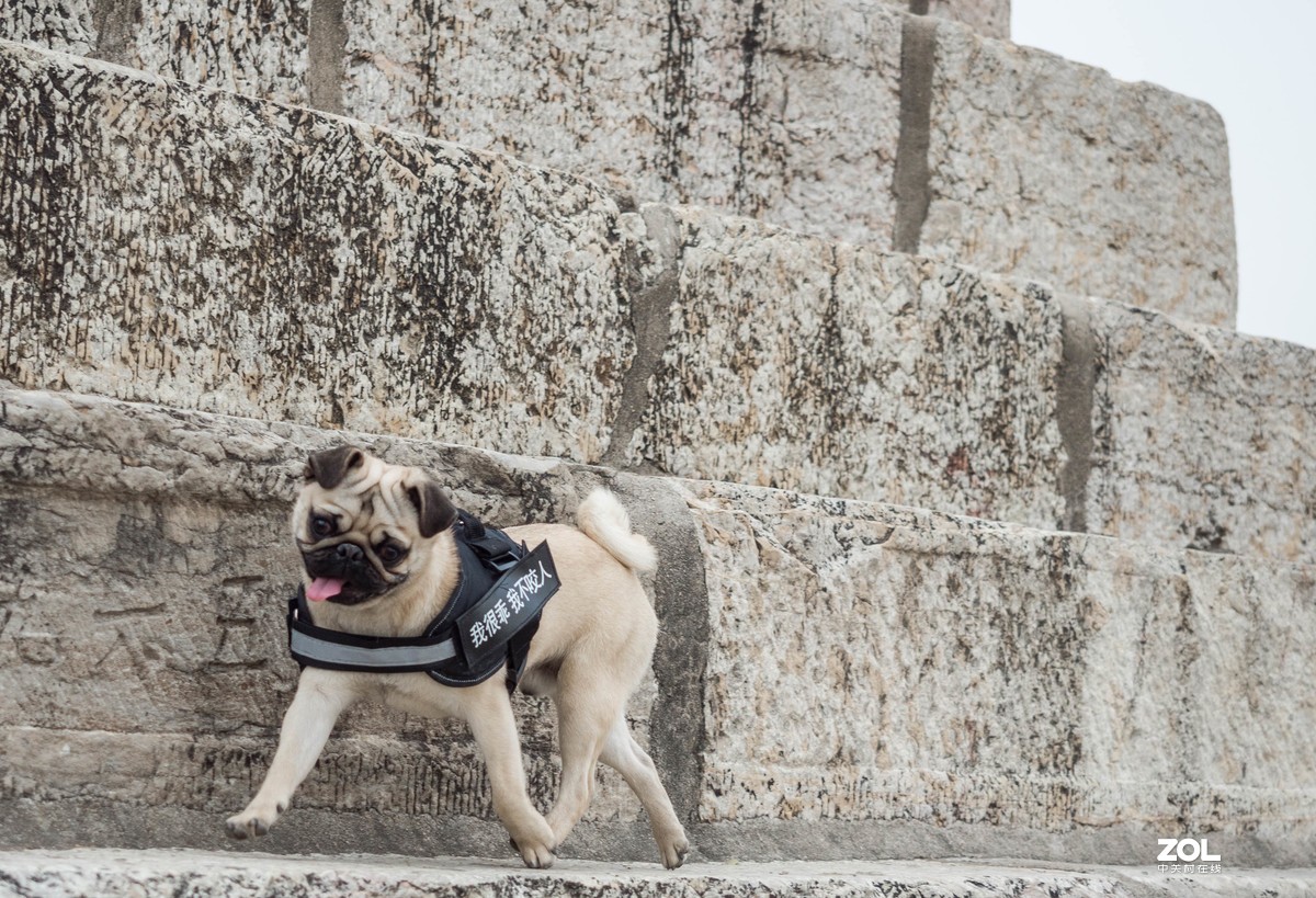 新入EM5II12-40套机，试镜拍摄，本小白还是新手请各位指正！LR胡乱后期了下！