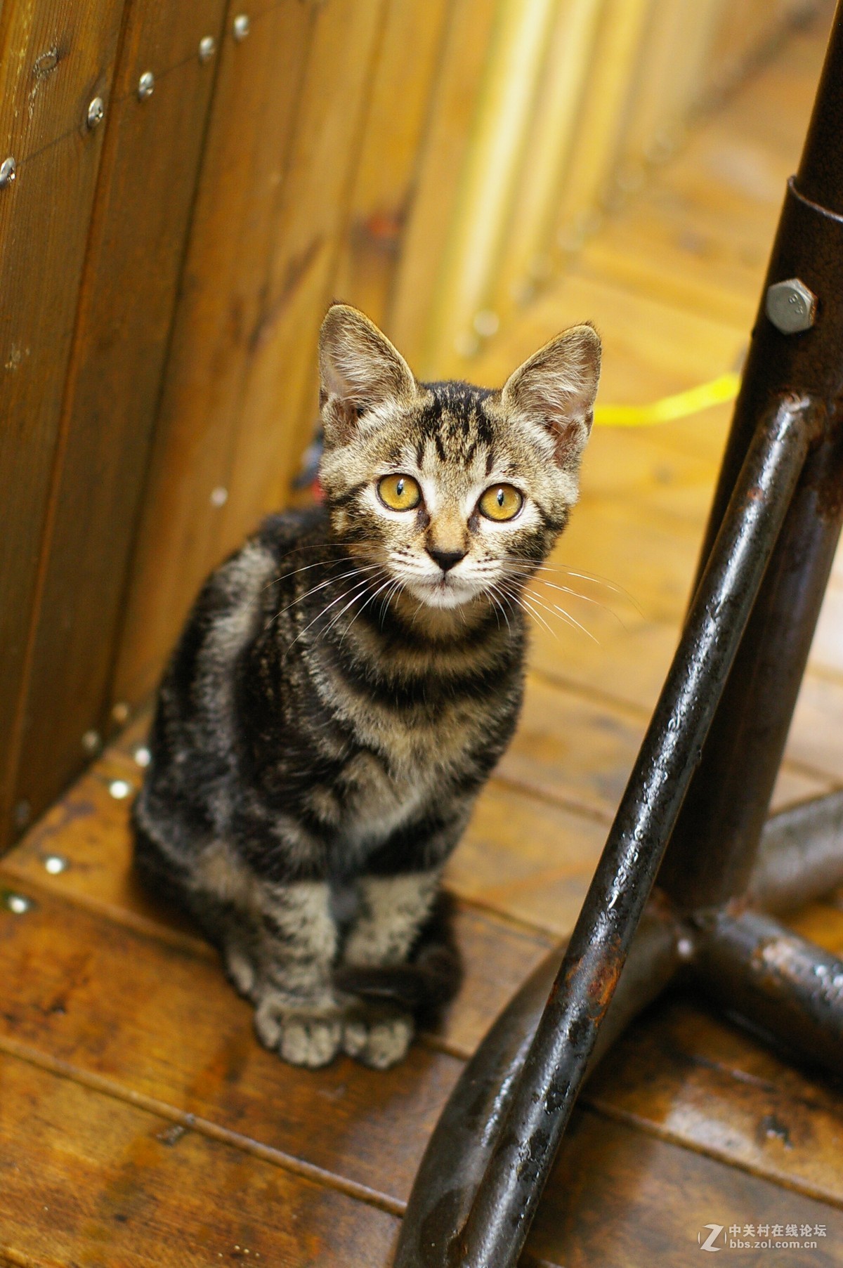 很古老的宾得k100d-super的机器了，近期的照片，求砖