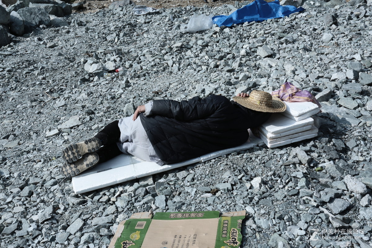 新的一年，新的开始