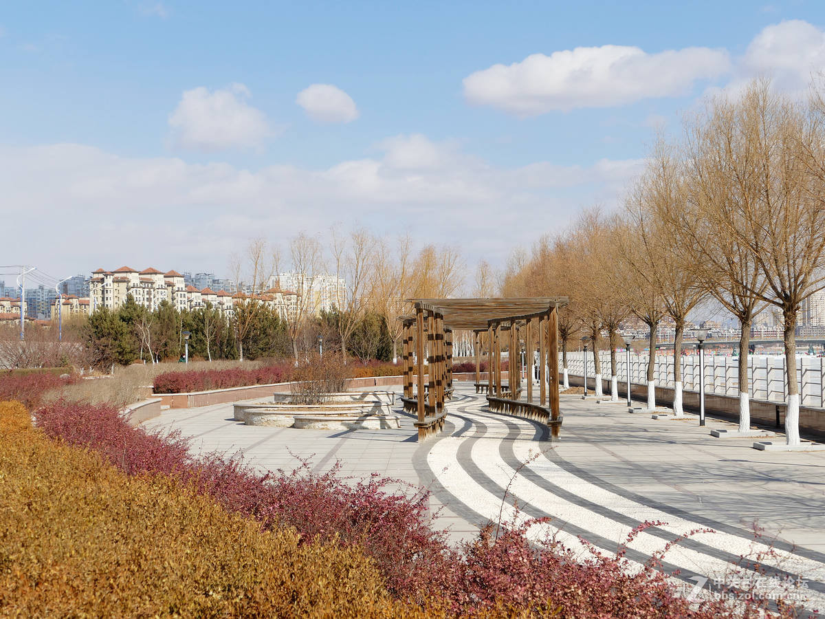 新入徕卡114（顶光）再试机