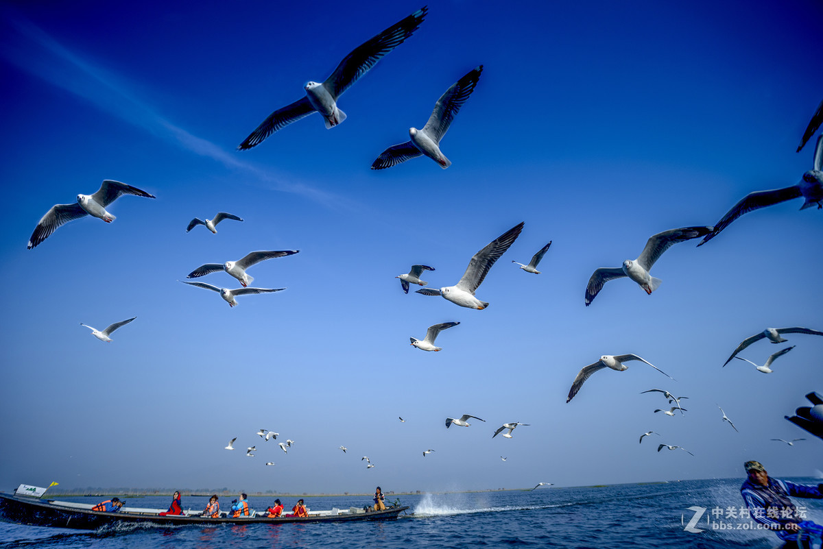 广角微距镜头拍风景，大家一起欣赏！