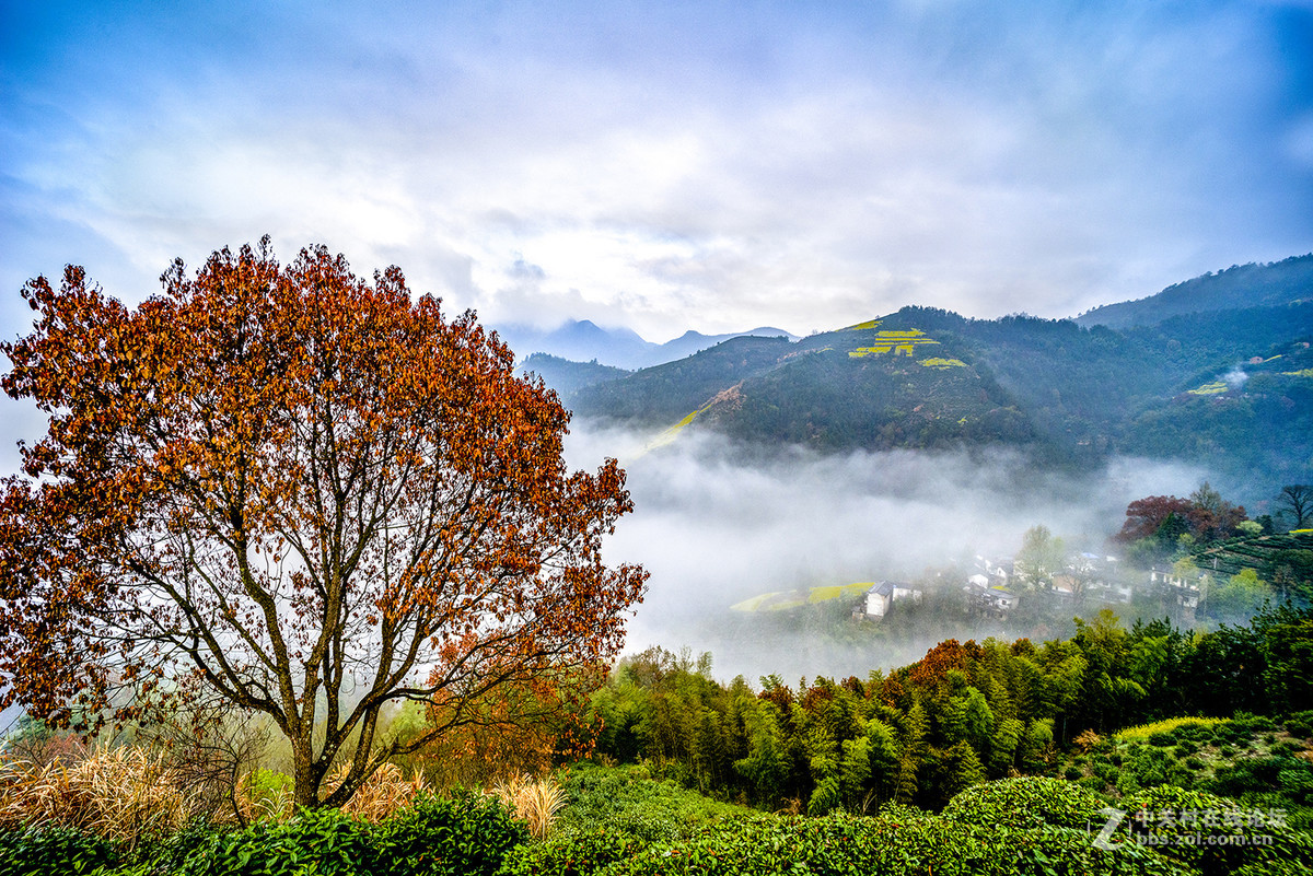 广角微距镜头拍风景，大家一起欣赏！