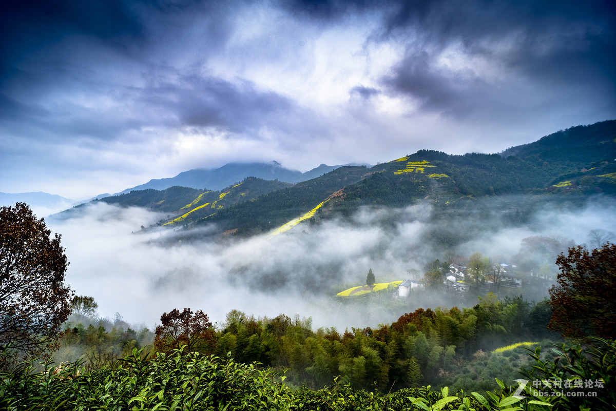 广角微距镜头拍风景，大家一起欣赏！