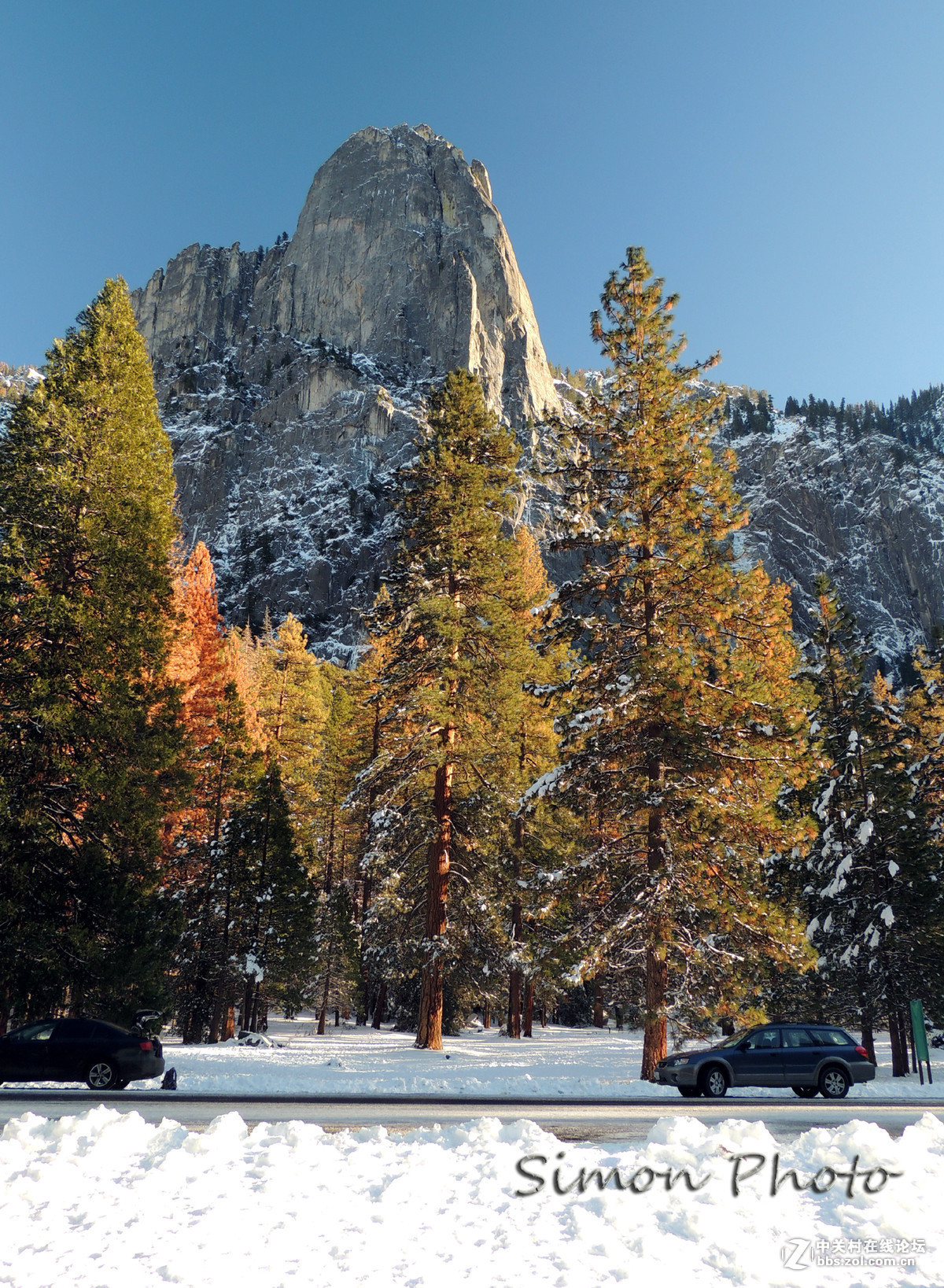 #版主坐堂# 4-6月尼康p510精华帖摘选