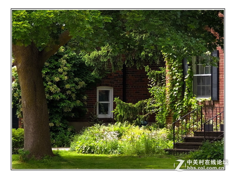 #版主坐堂# 4-6月尼康p510精华帖摘选