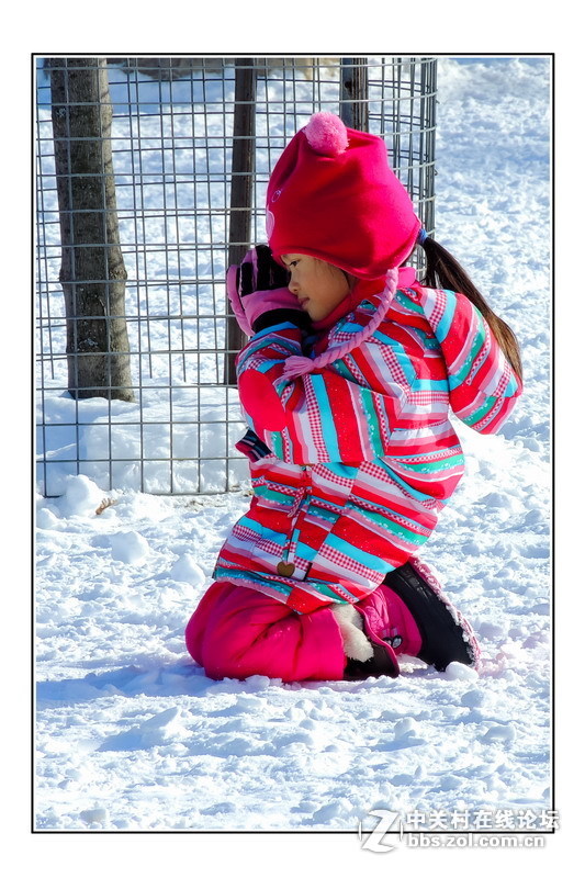 #版主坐堂# 4-6月尼康p510精华帖摘选